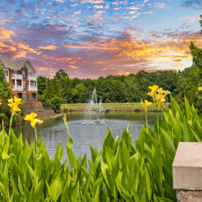 Protected: MAA Ballantyne